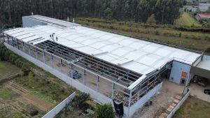 Amiave, Ribeirão Portugal